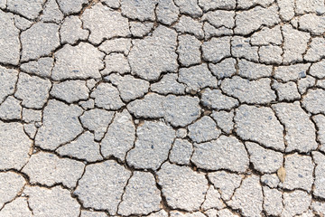 Crack of old asphalt road