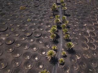 surreal aerial landscape of road in winery in black volcanic ash field in Lanzarote, Canary islands, Spain
