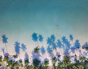 paradise beach with kayak, aerial landscape of beautiful tropical sea and palm trees, top down view from drone