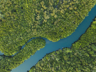 aerial landscape of winding river in forest by drone, beautiful wilderness nature