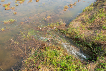 underground water flow in to plantation