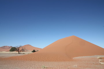 Fototapeta na wymiar Dune landscape with dead tree