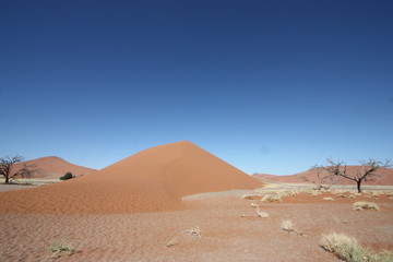 Fototapeta na wymiar Desert landscape with dunes