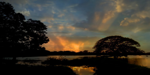 Creative shot of sunset.Sun setting behind the tree in the lake during dusk time with colorful dramatic clouds in the sky.