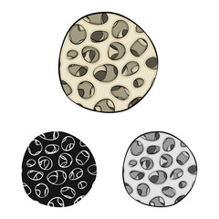 Vector design of medicine and clinic icon. Collection of medicine and medical vector icon for stock.