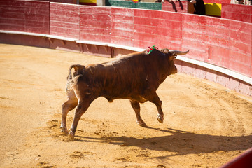 VALENCIA- MAY 11: 