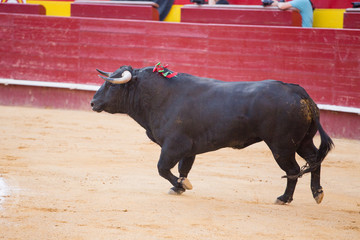 VALENCIA- MAY 11: 