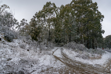 Snow covered dirt road in the forest. Rural transport infrastructure landscape