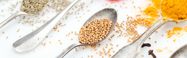 panoramic shot of spices in silver spoons on white background
