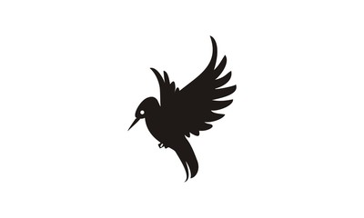 Fototapeta premium eagle flying LOGO