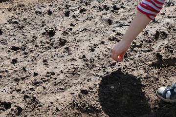 A girl planted seeds in the soil