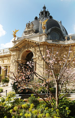 Beautiful Petit Palace garden in Paris - 270056890
