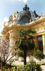 Beautiful Petit Palace garden in Paris - 270057239