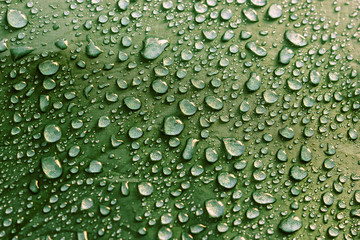 Rain water droplets on green color fiber waterproof fabric. Green background.