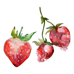 Strawberry healthy food. Watercolor background illustration set. Isolated berry illustration element.