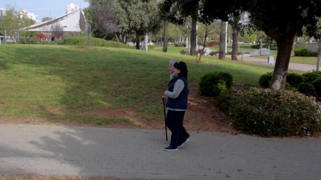 Mature female carer or volunteer and an elderly woman with a walking stick strolling in a city park.