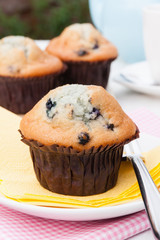 Blueberry muffins with afternoon tea in the garden