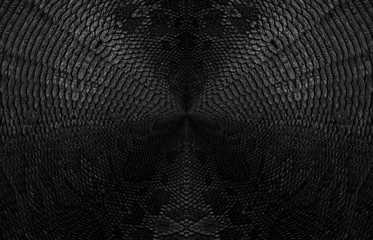 Snake skin background. Panoramic banner with copy space.