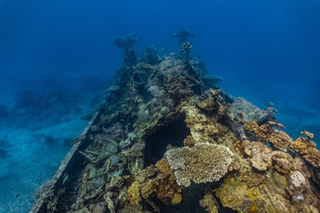Shipwreck in a shallow water in Apo Reef, Mindoro, Philippines.
