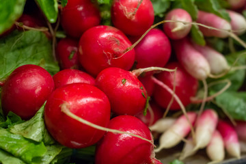 Several units of radishes