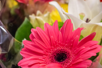 A bouquet of flowers