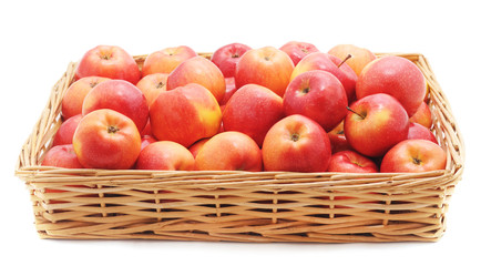 Apples in the basket.