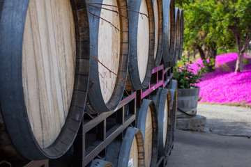 Rustic wooden barrels are stacked together to make attractive landscape and decor at a winery