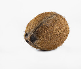 coconut close-up isolated on white background