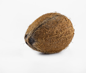 Isolated coconut on a white photo closeup photographed macro