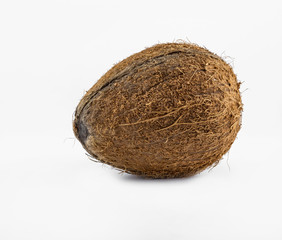Isolated coconut on a white photo closeup photographed macro