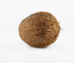 Isolated coconut on a white photo closeup photographed macro