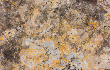 Old stone texture with lichen