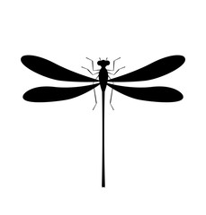 Dragonfly silhouette icon. Isolated symbol of insect
