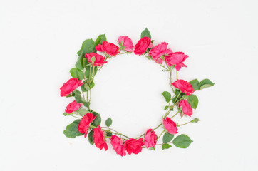 Pink roses are formed in a circle on a white background.