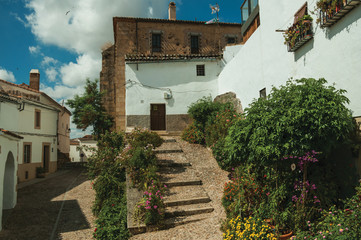 Fototapeta premium House facade with white walls, stairs, flower pots and plants at Caceres
