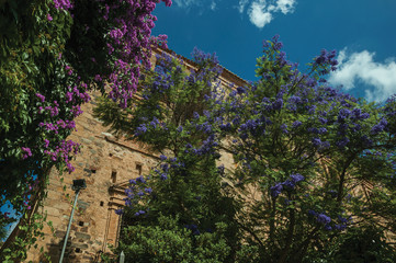 Old stone building and trees with colorful flowers at Caceres