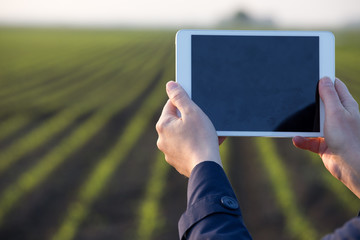 Farmer working on tablet in field
