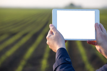 Farmer holding tablet in front of field