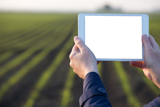 Farmer Holding Tablet In Front Of Field