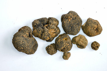Closeup shot of black truffles on white background.