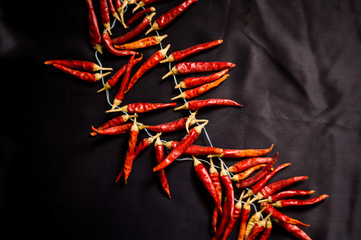 Red hot pepper on a black background