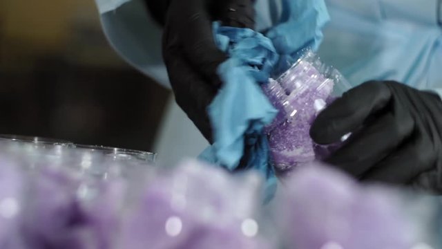 Production of beauty cosmetics. Laboratory assistent closes the jar with a purple sugar scrub cubes in it.