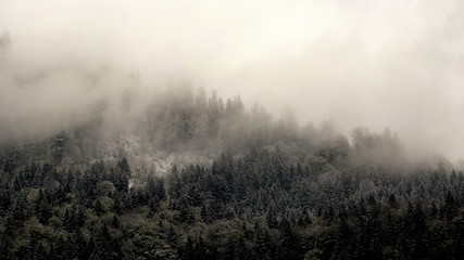 fog in the mountains / nebliger bergrücken in allgäuer alpen nahe oberstdorf