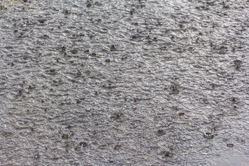 heavy rain falling on the ground and making ripples and splashes