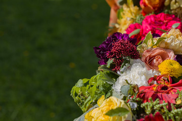 composition of different colors on a blurred green background lit by the spring sun.
