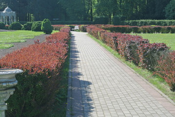 road, path, nature, landscape, grass, green, field, tree, park, rural, way, sky, country, summer, footpath,  spring, garden, forest, pathway, lane, outdoors, meadow, outdoor