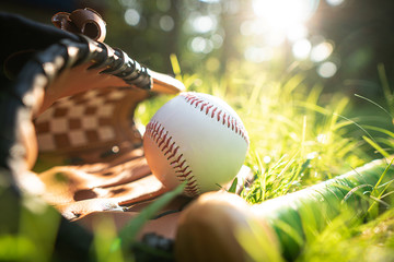 Baseballs, baseball gloves, resting on the lawn with the warm light of the setting sun