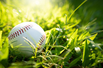 Baseball is placed on the lawn with a warm light of sunset