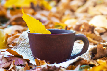 Naklejka na ściany i meble A cup of coffee, in which fell the yellow autumn leaf, in the woods_