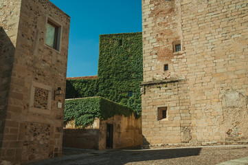 Alley with old stone buildings and creepers at Caceres
